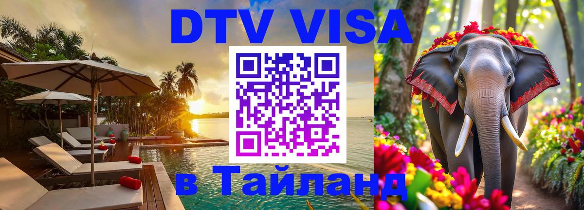 Оформление DTV визы под ключ: стоимость и тарифы, только загранпаспорт - Грозный  20.11.2025 